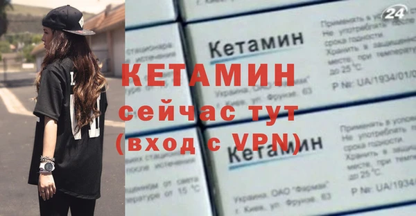 шишки Осташков