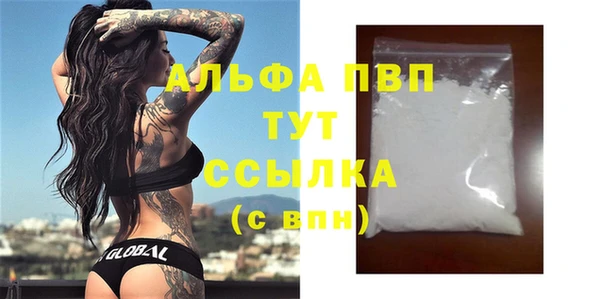 шишки Осташков