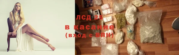шишки Осташков