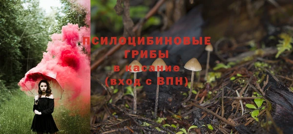 шишки Осташков
