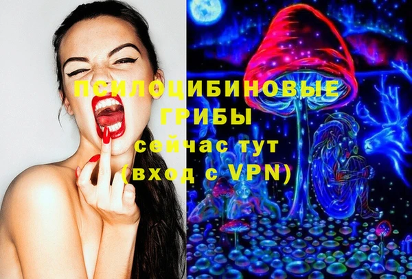 шишки Осташков
