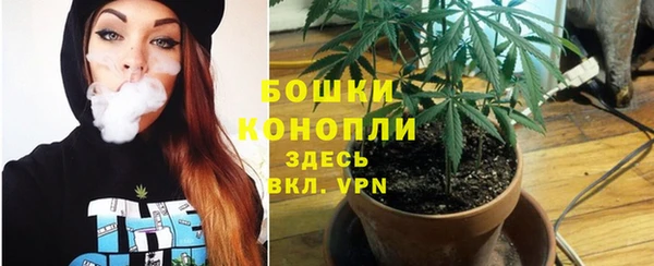 шишки Осташков