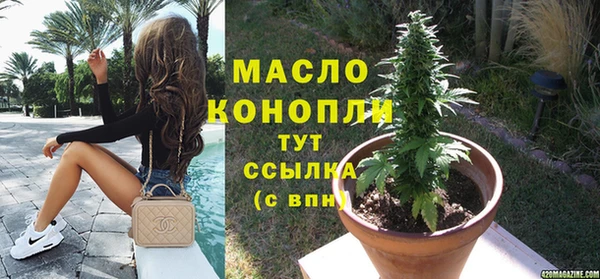 шишки Осташков